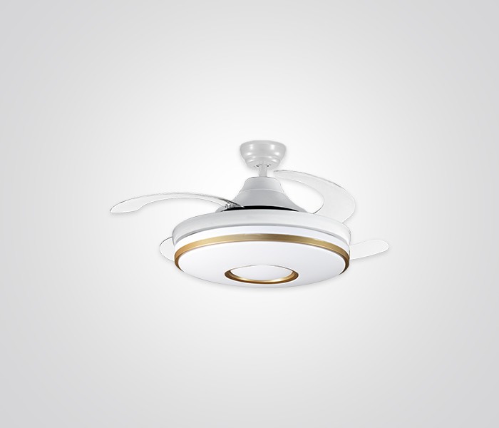 FAN LIGHT - JINFENG